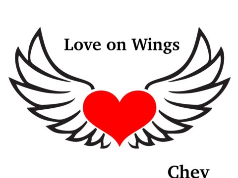 Chey – Love on Wings · Berger´s Schlagerparadies